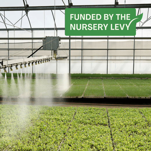 Violet and Yellow Sunny Motivation Facebook and Instagram Square Post